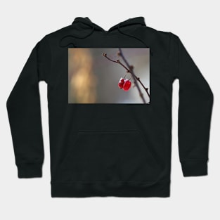 A twig with Berries Hoodie